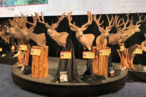 Even a. . Utah hunting expo tag results